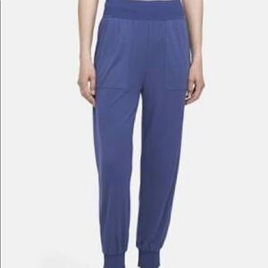 Theory blue joggers   